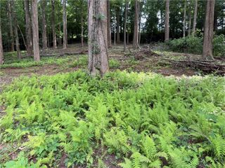 0 Martin Head Circle, Dahlonega, GA 30533