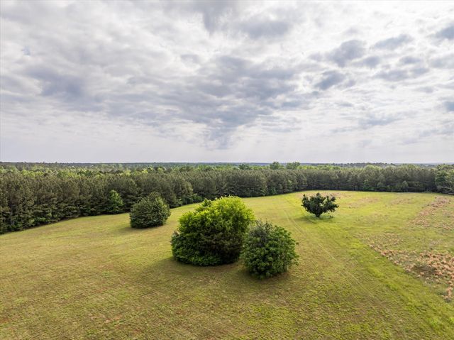 5740 Cobbham Road, Appling, GA 30802