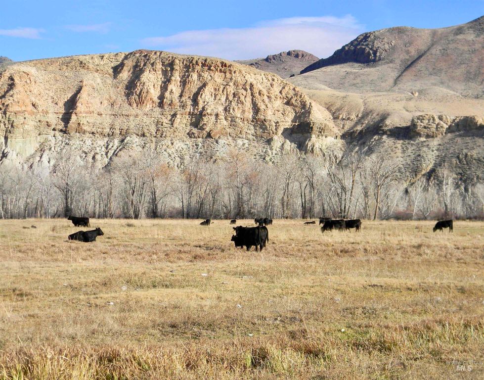 24950 Hwy. 93, Challis, ID 83226