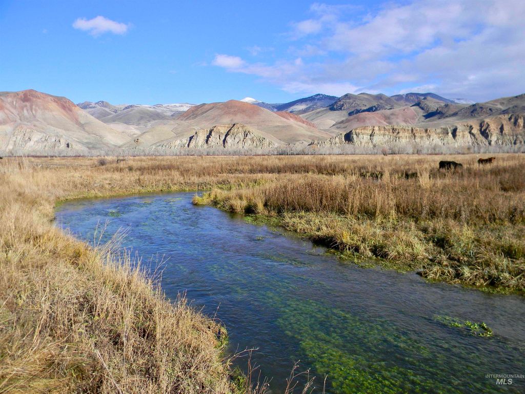 24950 Hwy. 93, Challis, ID 83226 photo 2