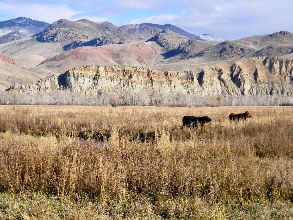 24950 Hwy. 93, Challis, ID 83226 photo 6