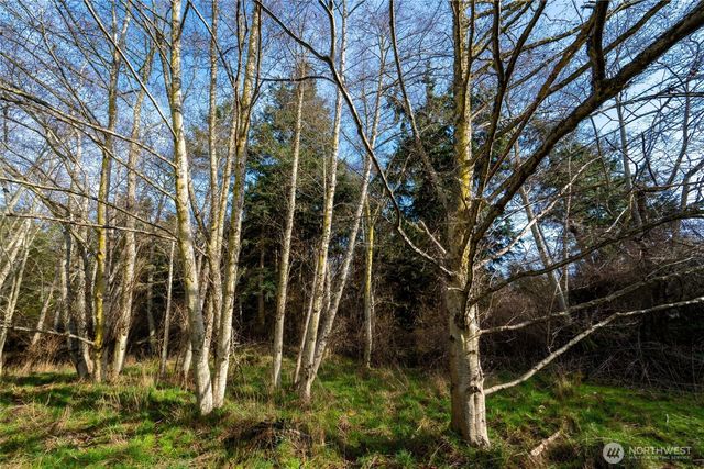 2198 Cecil Lane, Coupeville, WA 98239