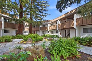 2201 Monroe Street 204, Santa Clara, CA 95050