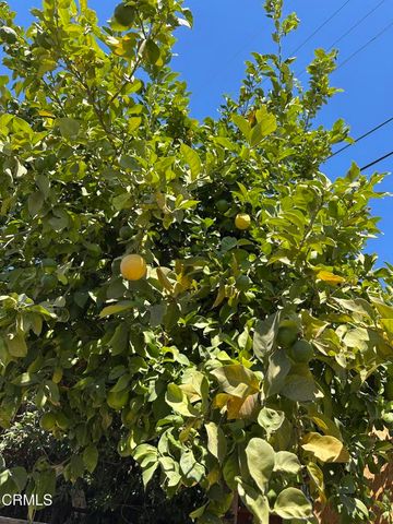 7048 Murietta Avenue, Los Angeles, CA 91405