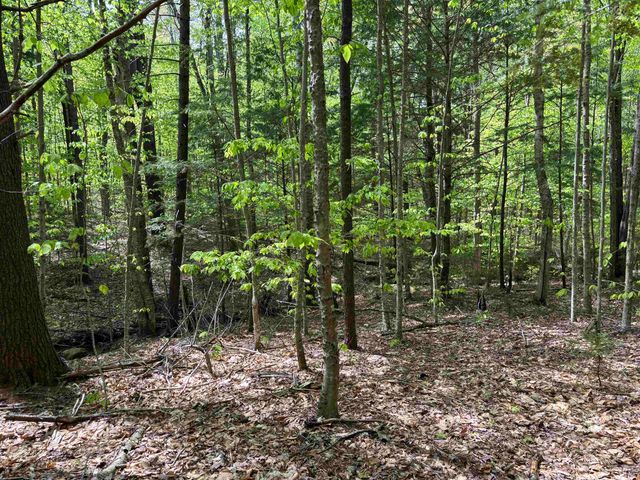 00 Snell Road, Chester, VT 05143