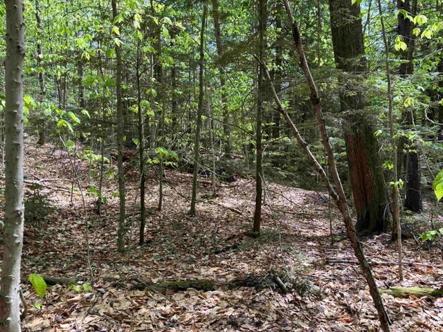 00 Snell Road, Chester, VT 05143