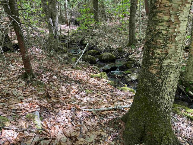 00 Snell Road, Chester, VT 05143
