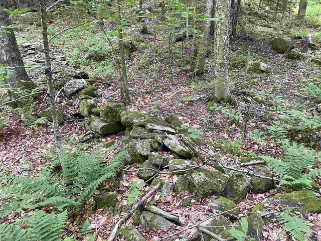 00 Snell Road, Chester, VT 05143