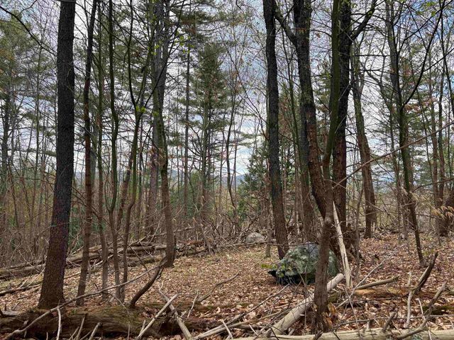 00 Snell Road, Chester, VT 05143