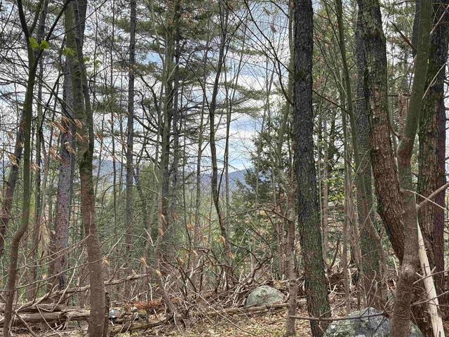 00 Snell Road, Chester, VT 05143
