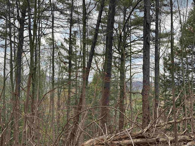 00 Snell Road, Chester, VT 05143