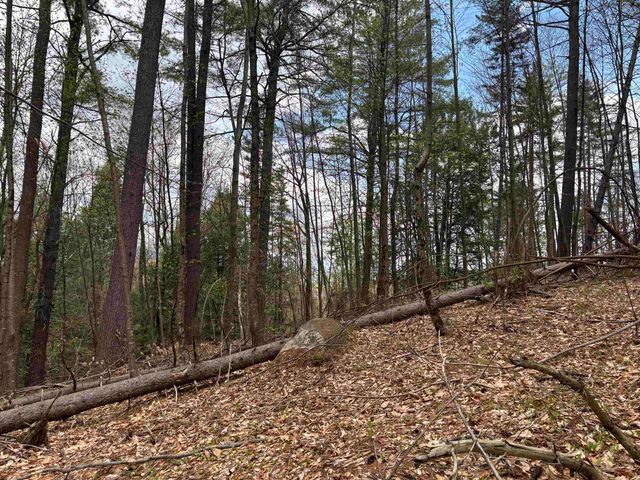 00 Snell Road, Chester, VT 05143