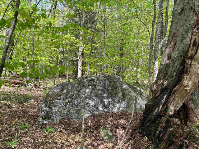 00 Snell Road, Chester, VT 05143