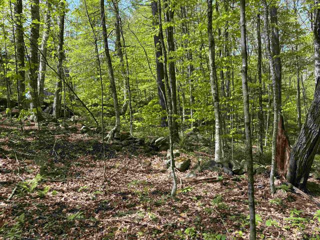 00 Snell Road, Chester, VT 05143