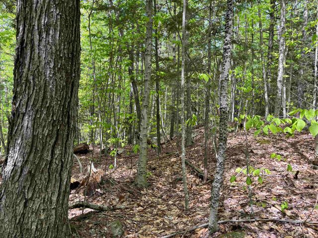 00 Snell Road, Chester, VT 05143
