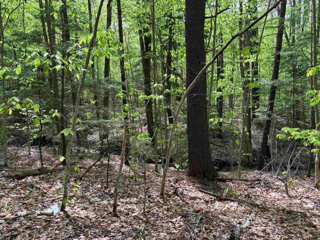 00 Snell Road, Chester, VT 05143