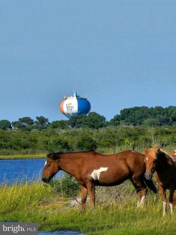 LOT 5 STEPHEN DECATUR HWY, Berlin, MD 21811