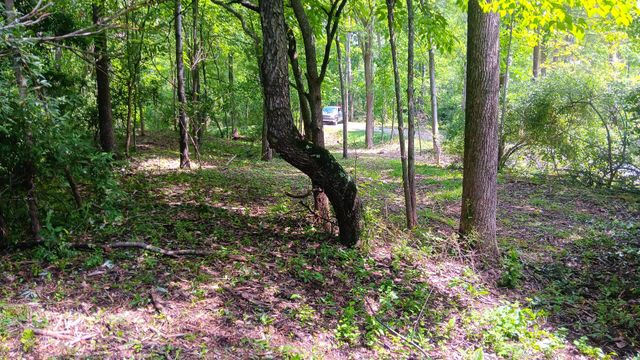 0 Township Road 128 SE, (Turkey Run Tract 4), New Lexington, OH 43764