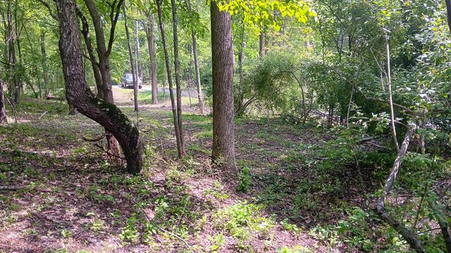 0 Township Road 128 SE, (Turkey Run Tract 4), New Lexington, OH 43764