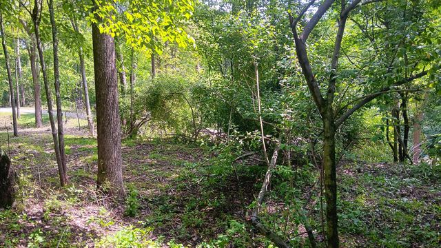 0 Township Road 128 SE, (Turkey Run Tract 4), New Lexington, OH 43764