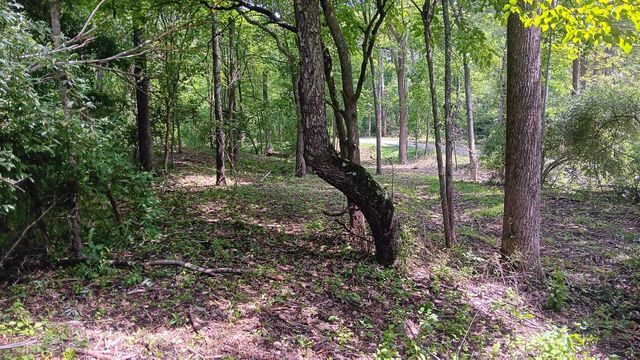 0 Township Road 128 SE, (Turkey Run Tract 4), New Lexington, OH 43764