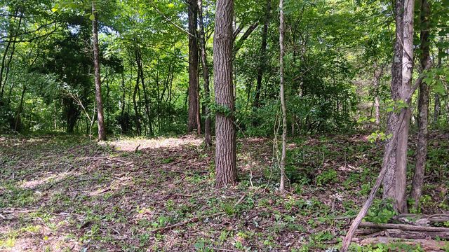 0 Township Road 128 SE, (Turkey Run Tract 4), New Lexington, OH 43764