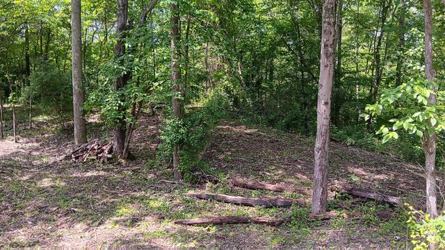 0 Township Road 128 SE, (Turkey Run Tract 4), New Lexington, OH 43764