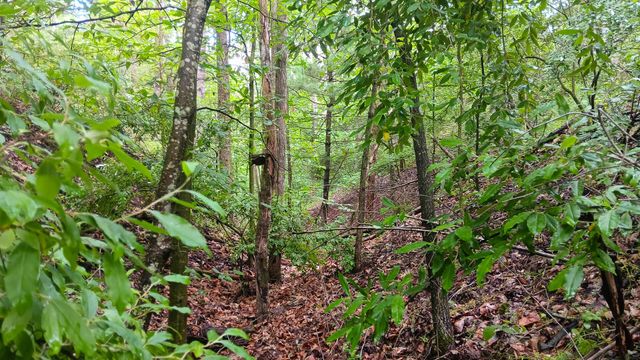 0 Township Road 128 SE, (Turkey Run Tract 4), New Lexington, OH 43764