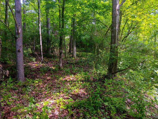 0 Township Road 128 SE, (Turkey Run Tract 4), New Lexington, OH 43764
