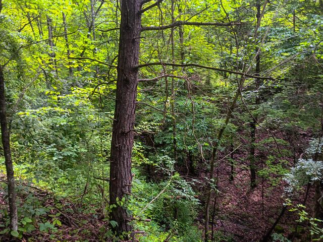 0 Township Road 128 SE, (Turkey Run Tract 4), New Lexington, OH 43764