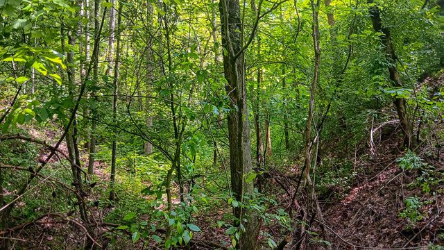 0 Township Road 128 SE, (Turkey Run Tract 4), New Lexington, OH 43764