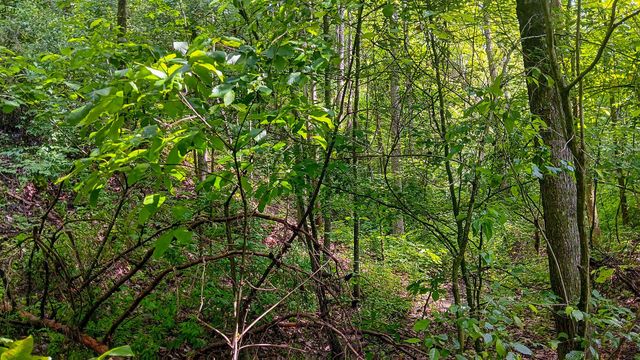 0 Township Road 128 SE, (Turkey Run Tract 4), New Lexington, OH 43764