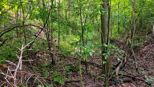 0 Township Road 128 SE, (Turkey Run Tract 4), New Lexington, OH 43764