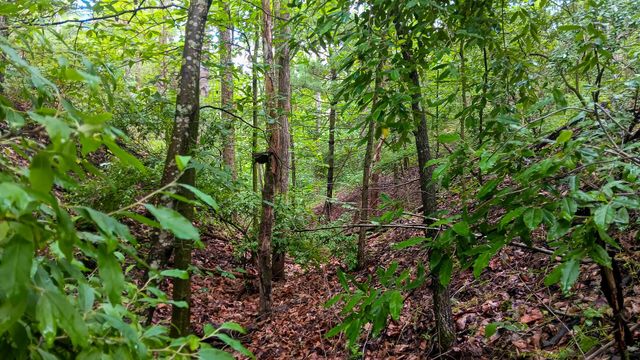 0 Township Road 128 SE, (Turkey Run Tract 4), New Lexington, OH 43764