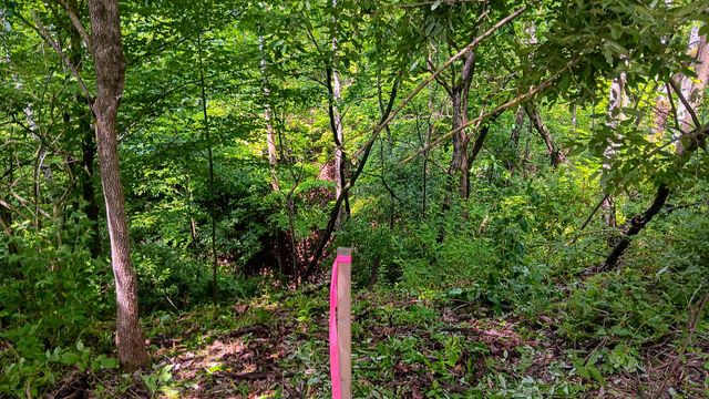 0 Township Road 128 SE, (Turkey Run Tract 4), New Lexington, OH 43764