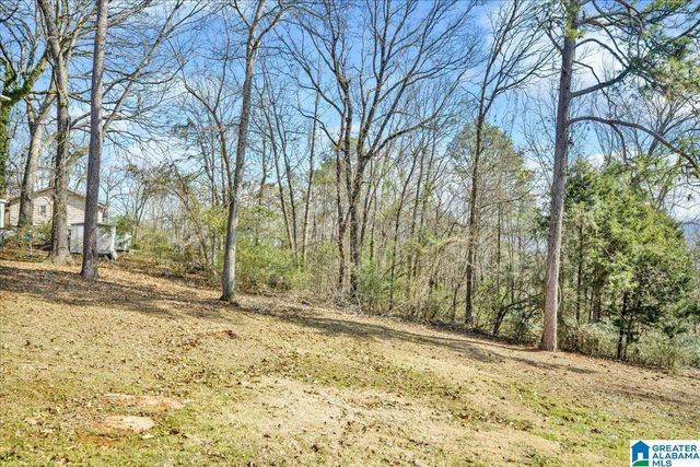 4671 WOODDALE LANE, Pelham, AL 35124