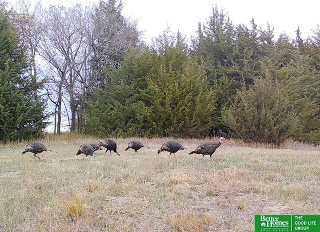 17300 W Hwy 31, Springfield, NE 68059