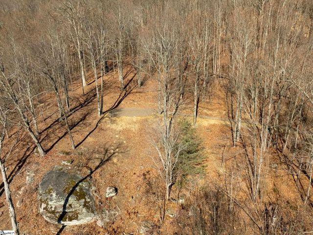 225 Lost Trail Drive, Landrum, SC 29356