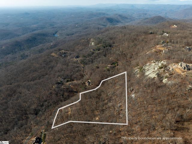 225 Lost Trail Drive, Landrum, SC 29356