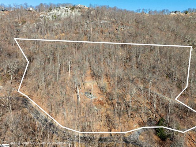 225 Lost Trail Drive, Landrum, SC 29356