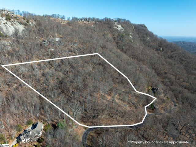 225 Lost Trail Drive, Landrum, SC 29356