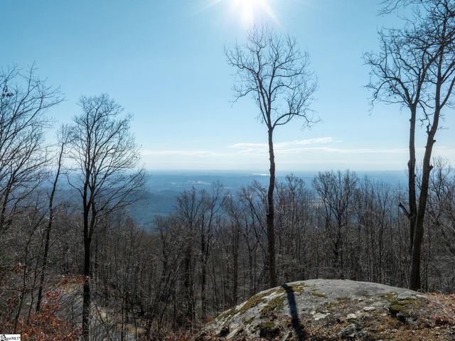 225 Lost Trail Drive, Landrum, SC 29356