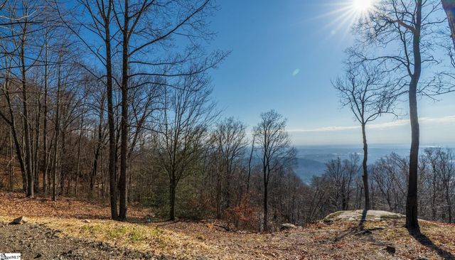 225 Lost Trail Drive, Landrum, SC 29356