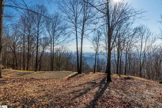 225 Lost Trail Drive, Landrum, SC 29356