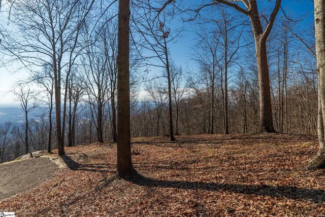 225 Lost Trail Drive, Landrum, SC 29356