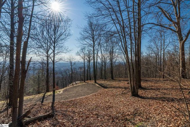 225 Lost Trail Drive, Landrum, SC 29356