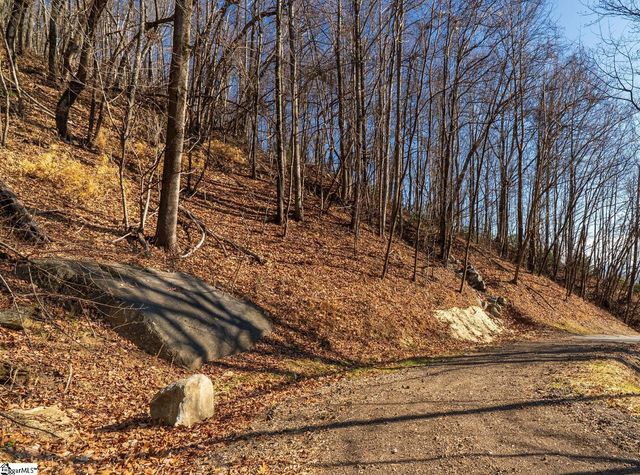 225 Lost Trail Drive, Landrum, SC 29356