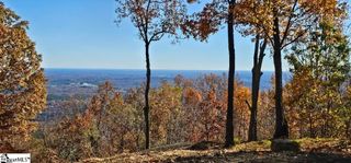 225 Lost Trail Drive, Landrum, SC 29356