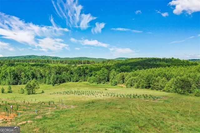 119 Inland Drive, Talking Rock, GA 30175