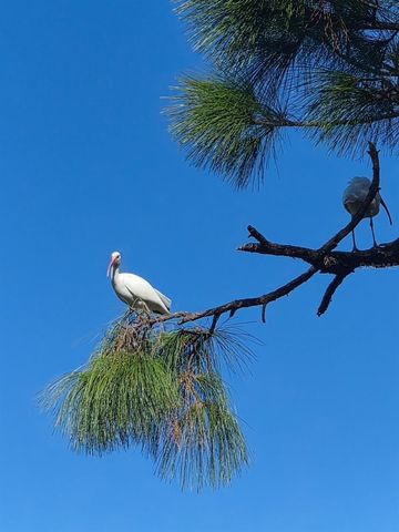 387 VICEROY TERRACE, Port Charlotte, FL 33954